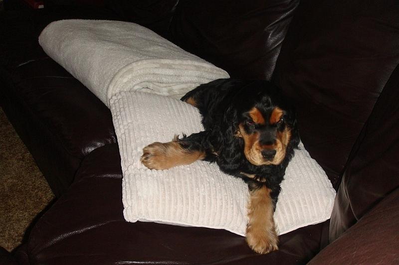 Art_25.1.2010 (1).jpg